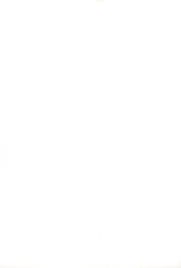 [Sink] Urabambi Vol. 7 -Guchogucho Étoile- Fhentai - Page 27