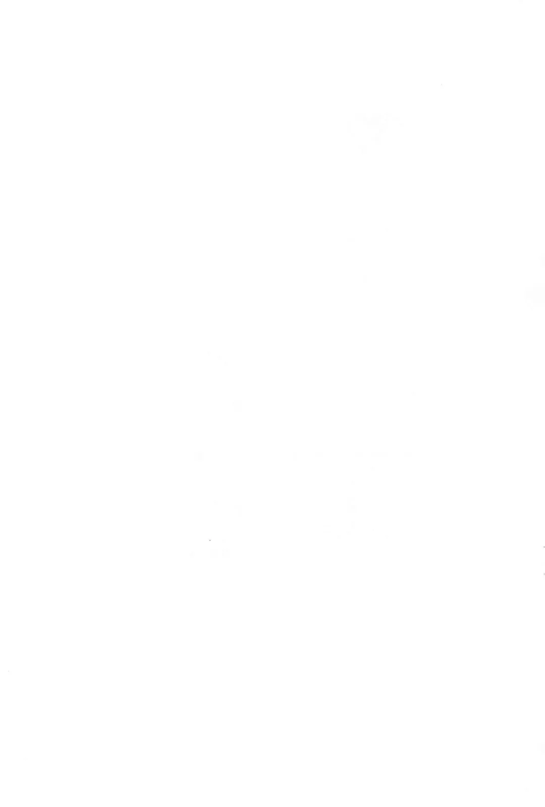 [Shiramayumi] Magejun Nagoya Shucchou-ban Fhentai - Page 13