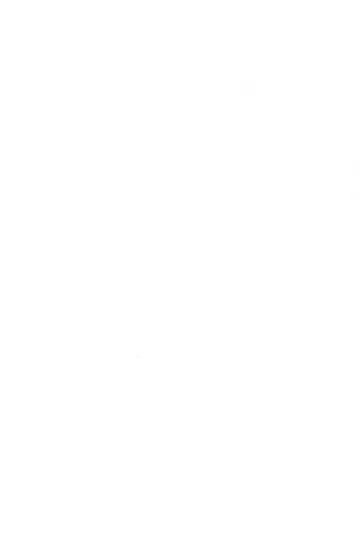 [Shiramayumi] Magejun Nagoya Shucchou-ban Fhentai - Page 13