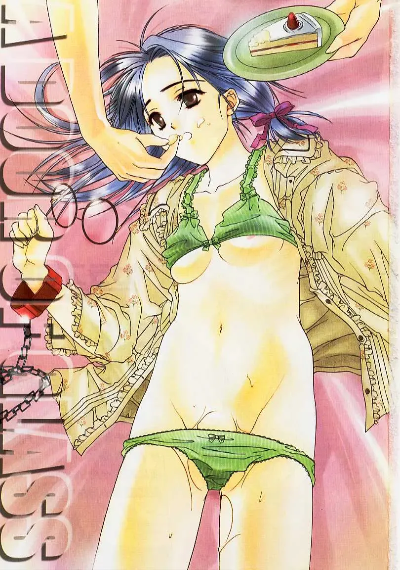 [Naruse Hirofumi] Glass no Tobira - A Door of Glass Fhentai - Page 3