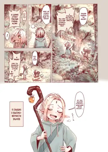 [Kyaradain] Daraku no Majo Shounen Yuusha to Tsurupeta Elf wa Ika ni Shite Majo ni Yabureta ka Fhentai - Page 41