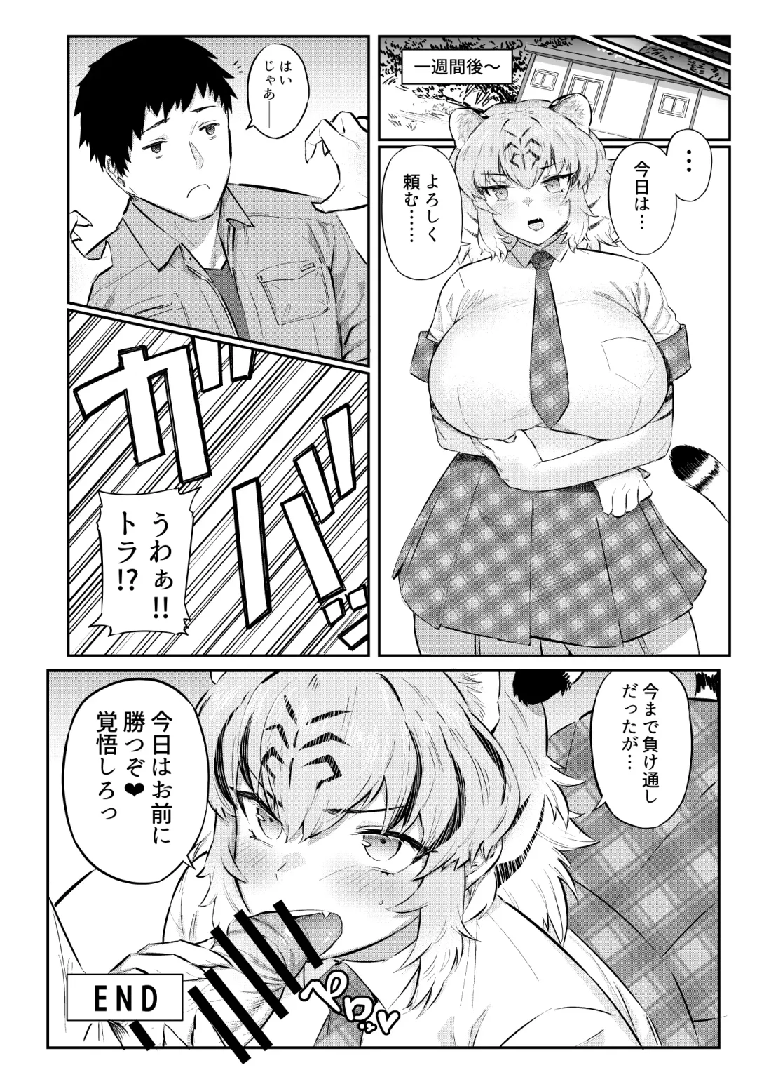 [Hihiyama Yokikana] Tora wa Fureai Shugyou-chuu Fhentai - Page 14