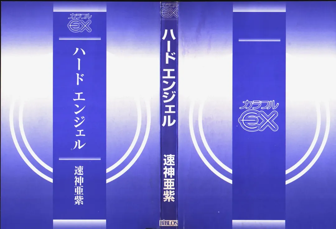 [Nagareboshi Kai] Hard Angel Fhentai - Page 2