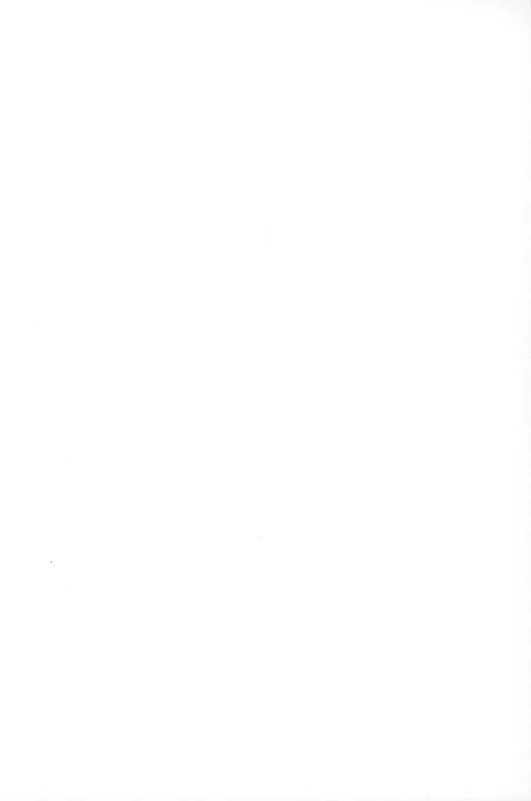 [Rustle] Succubus Fhentai - Page 25