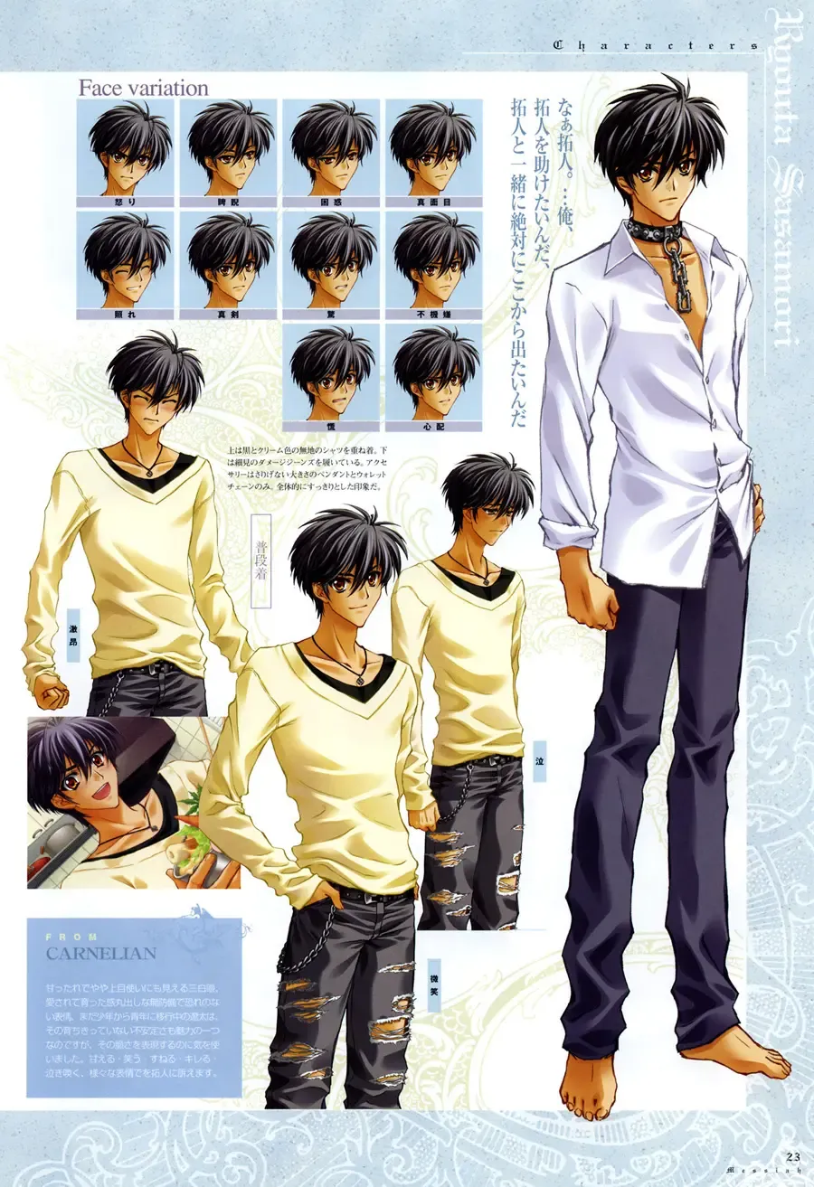 [Carnelian] Trinity - Messiah Visualbook Fhentai - Page 23