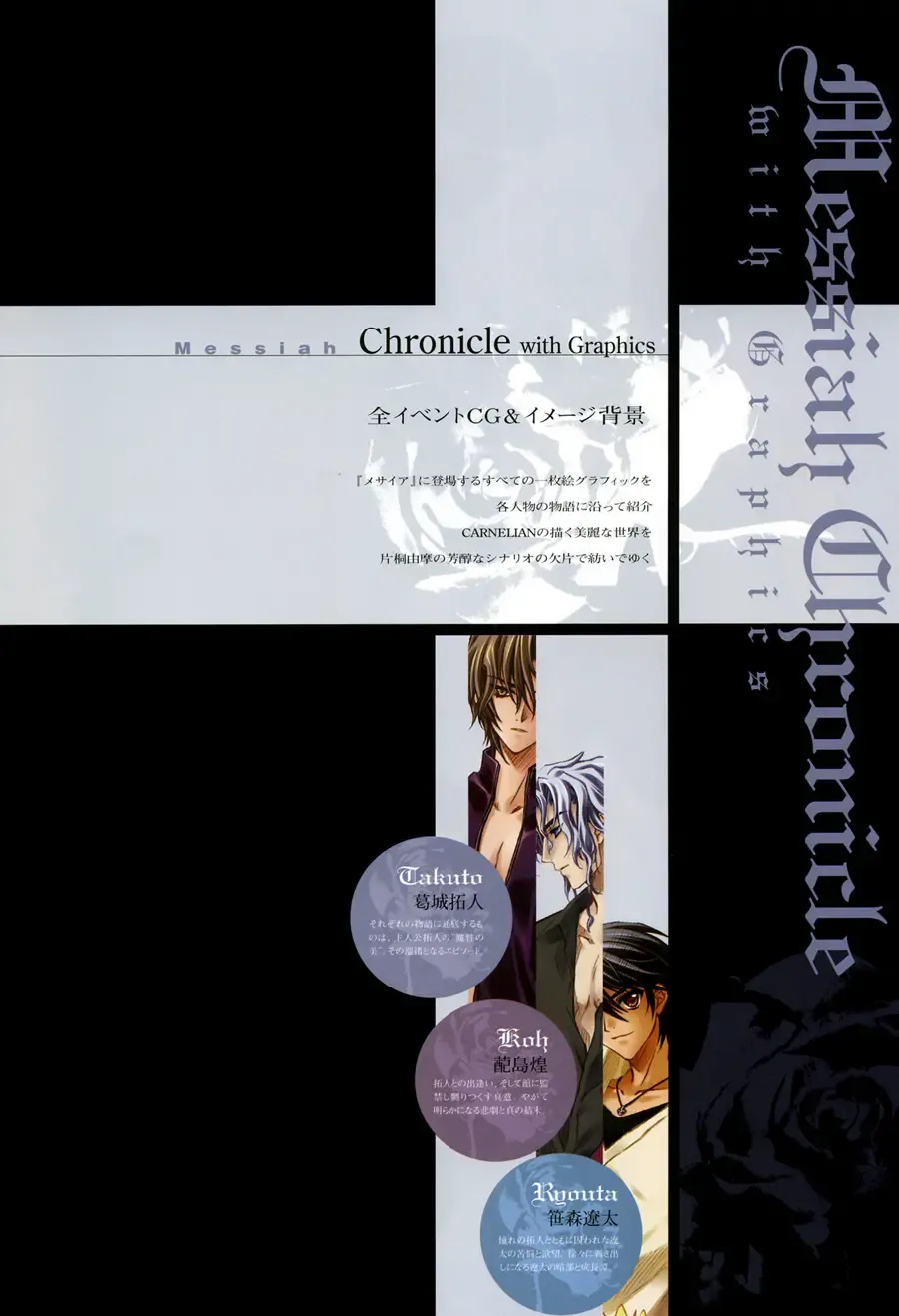 [Carnelian] Trinity - Messiah Visualbook Fhentai - Page 31