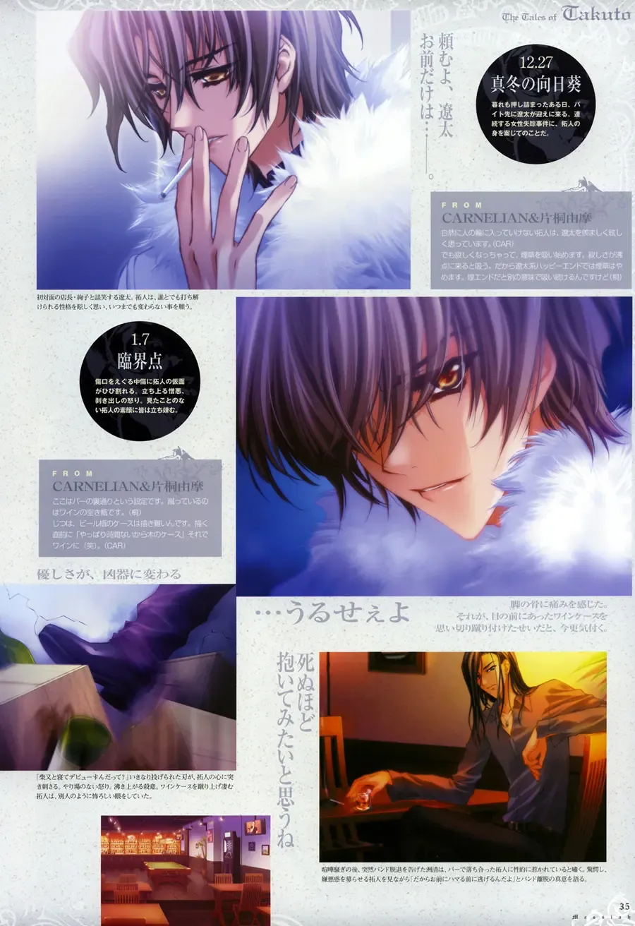 [Carnelian] Trinity - Messiah Visualbook Fhentai - Page 36