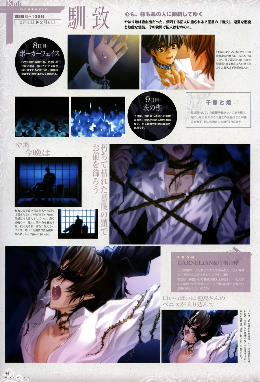 [Carnelian] Trinity - Messiah Visualbook Fhentai - Page 46