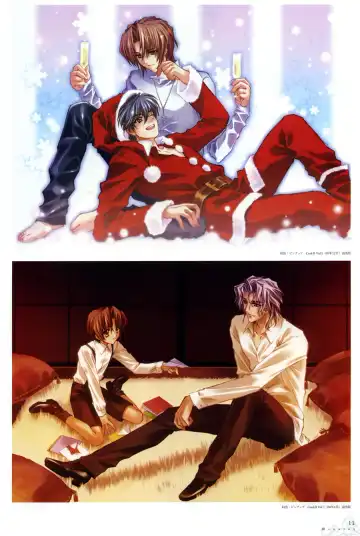 [Carnelian] Trinity - Messiah Visualbook Fhentai - Page 11