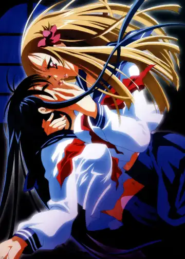 [Carnelian] Yami to Boushi to Hon no Tabibito Visual Collection Fhentai - Page 30