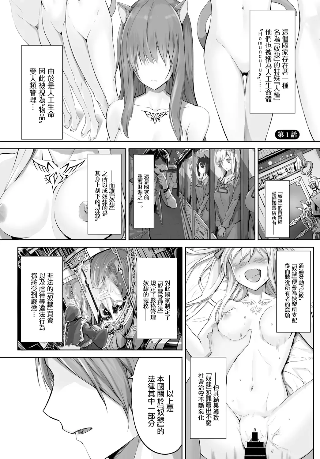 [Kyougoku Touya] Orokamono wa Nekomimi Dorei ni Izon suru ~Hajimete no Choukyou Seikatsu~ Vol. 1 Fhentai - Page 7