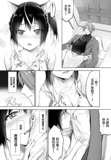 [Kyougoku Touya] Orokamono wa Nekomimi Dorei ni Izon suru ~Hajimete no Choukyou Seikatsu~ Vol. 1 Fhentai - Page 162
