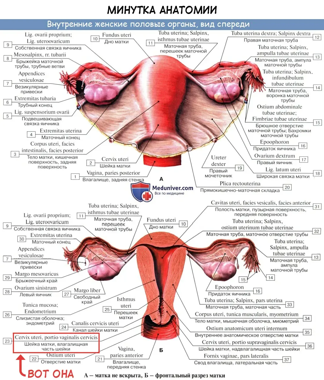 [Moketa] Kimochii Manman no Tsukurikata | Культивация удовольствия Fhentai - Page 5