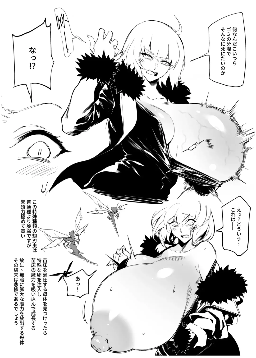 [Fan] Jeanne Chounyuu Naedoko Sanshutsu Houkokusho Fhentai - Page 4