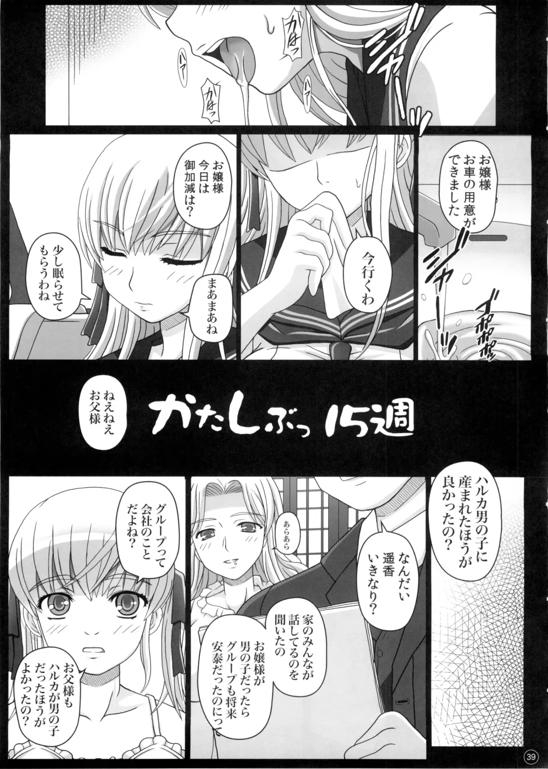 [Shiawase No Katachi] Katashibu 0-2-15 Shuu (Partial Decensor) P2 Fhentai - Page 1