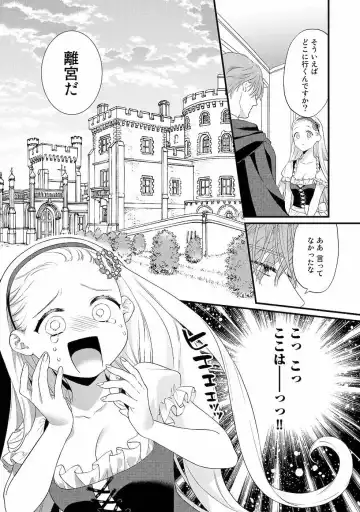 [Carmilla] Tsunderu Moto Akuyaku Reijo v01s Fhentai - Page 124