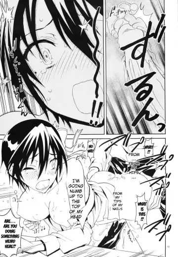 [Kaishaku] Nisenisekoi Fhentai - Page 12