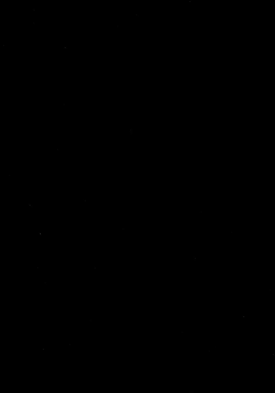 [Tanaka Decilitre] Fake Lovers Fhentai - Page 20