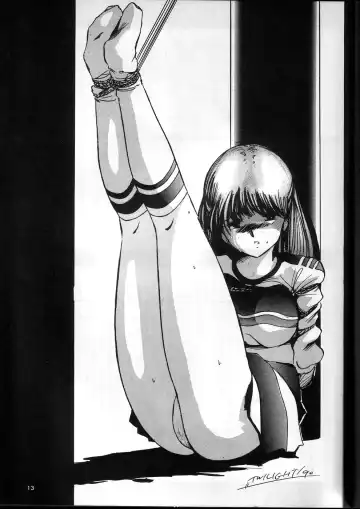 [Twilight] GIRLS IN THE DARKSIDE FIFTH Fhentai - Page 13