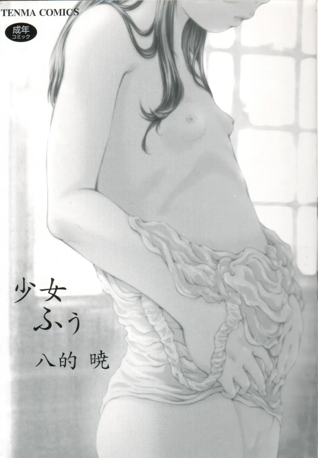 [Yamato Akira] Shoujo Fuu Fhentai - Page 4