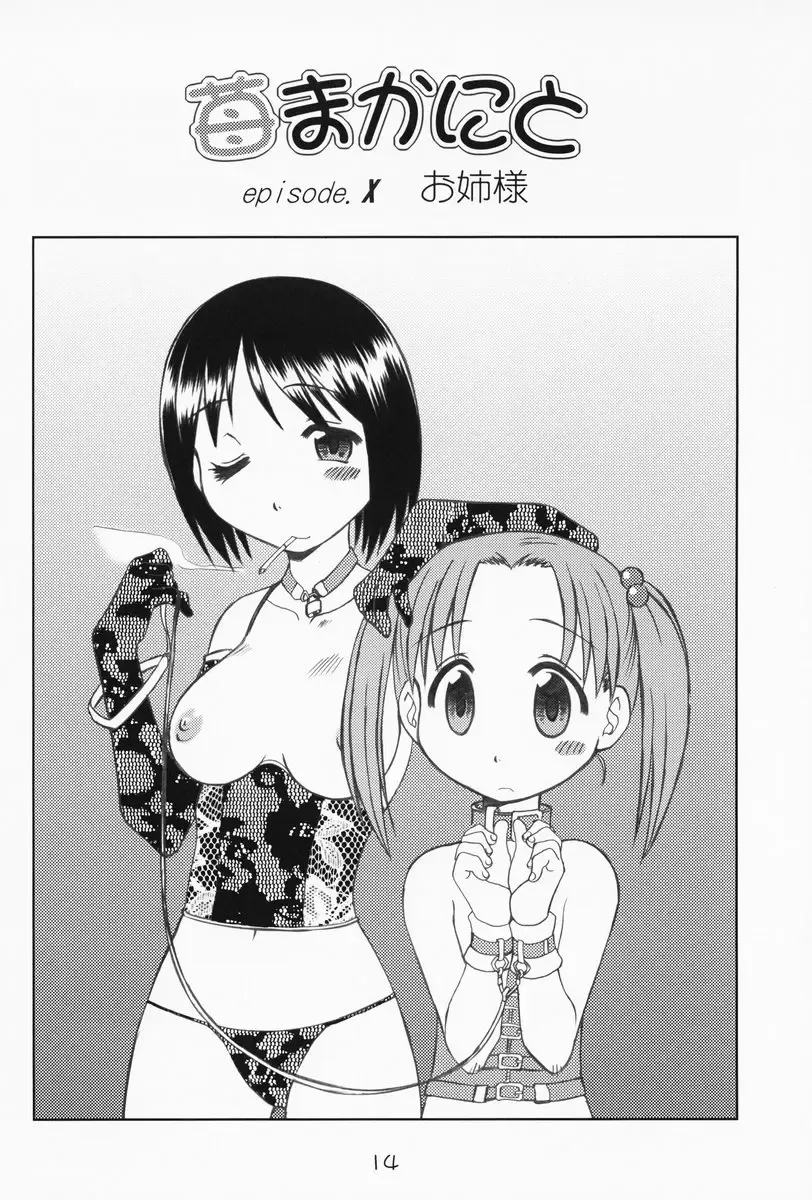 [Saeki Tatsuya - Youki Akira] Ichigo Mahaman Soushuuhen Fhentai - Page 13