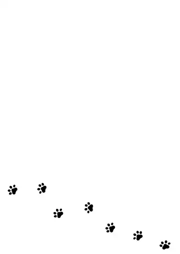 [Izumike] Kuroneko to Sensei Fhentai - Page 75