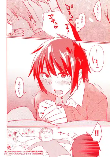 [Esuke] Itoshii Kimi o Kuruu hodo... Toranoana Gentei Shousasshi Tsubasa ga Hajimete Fella suru Hanashi Fhentai - Page 4