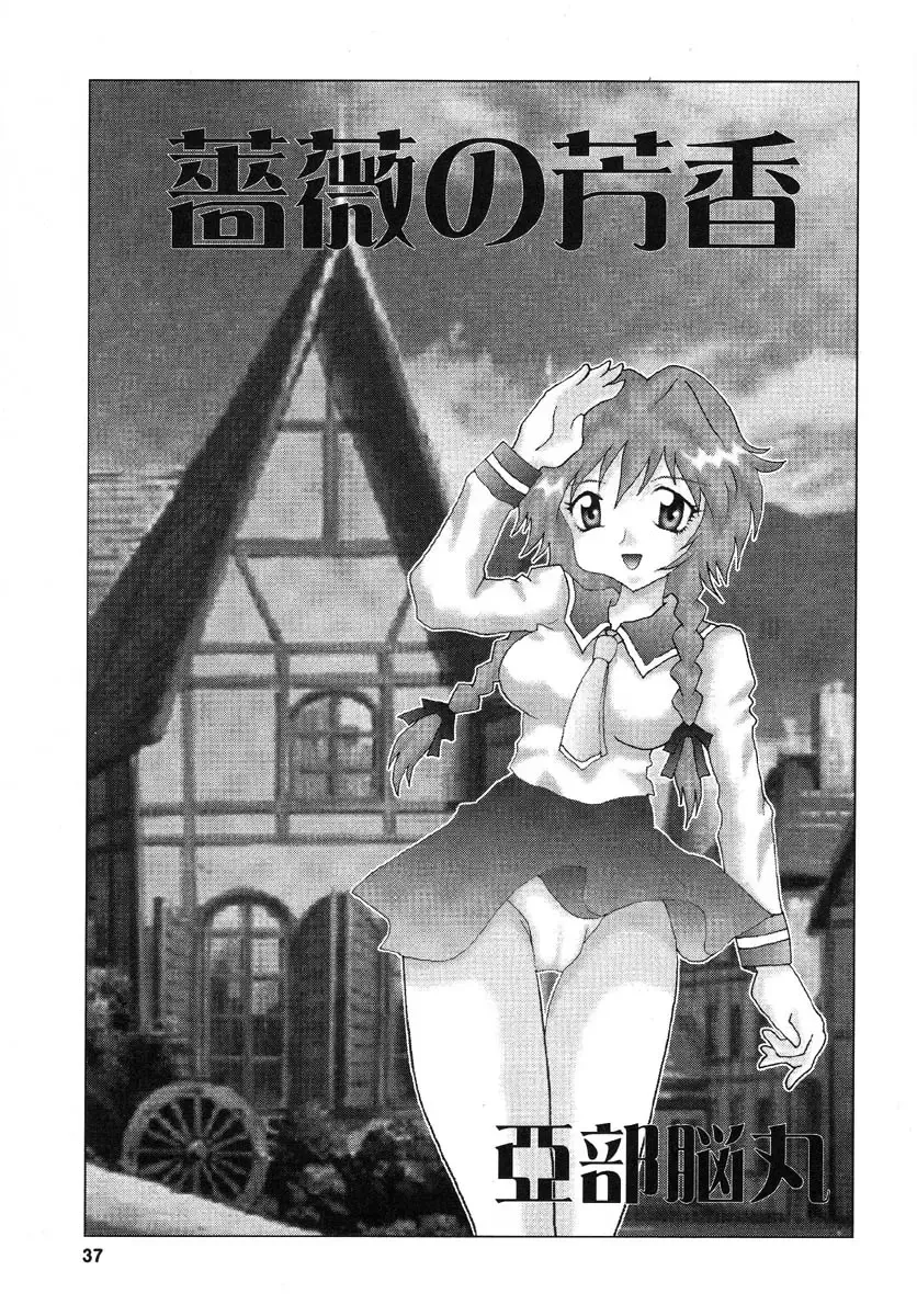 Real Sadism Fhentai - Page 38