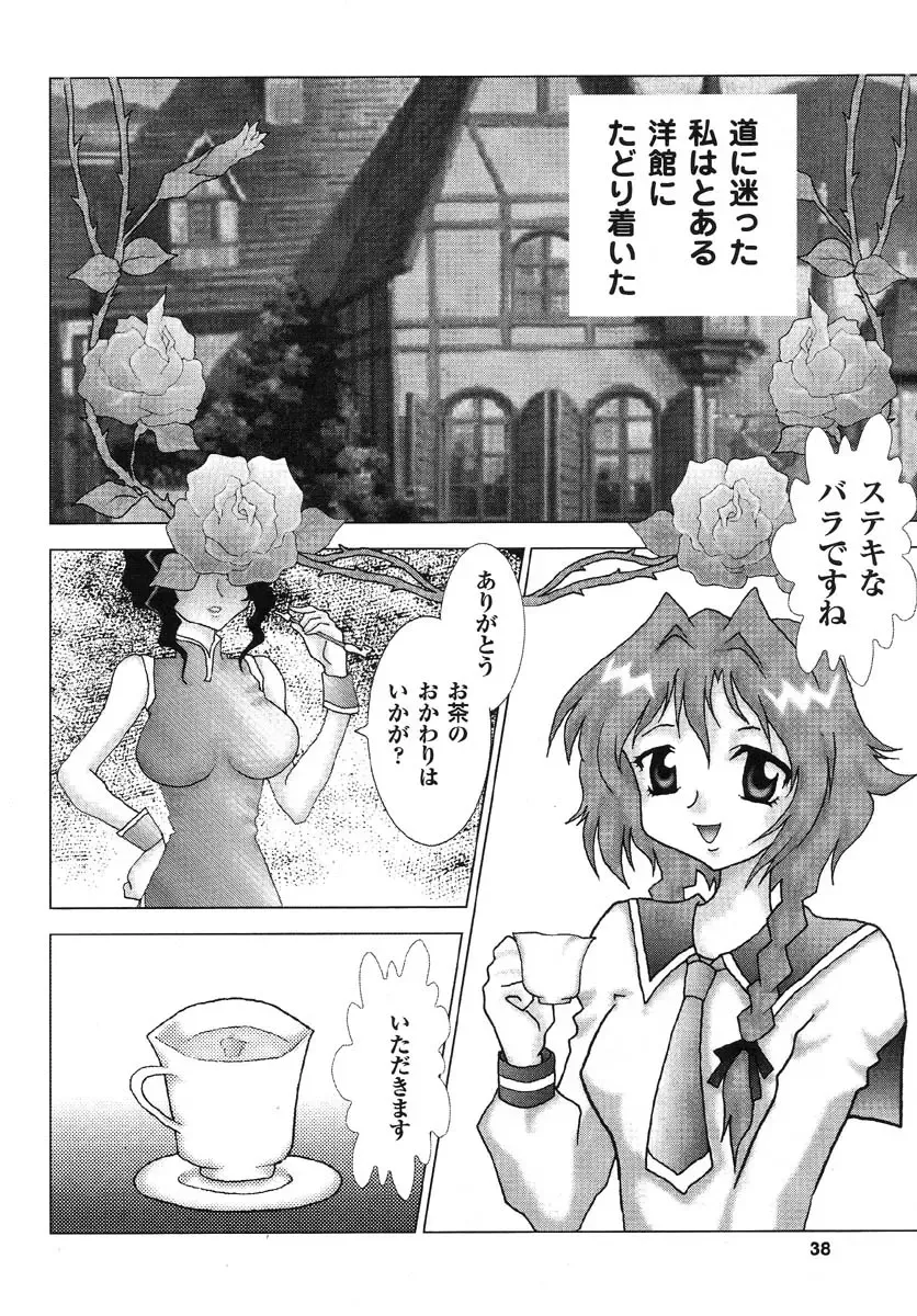 Real Sadism Fhentai - Page 39