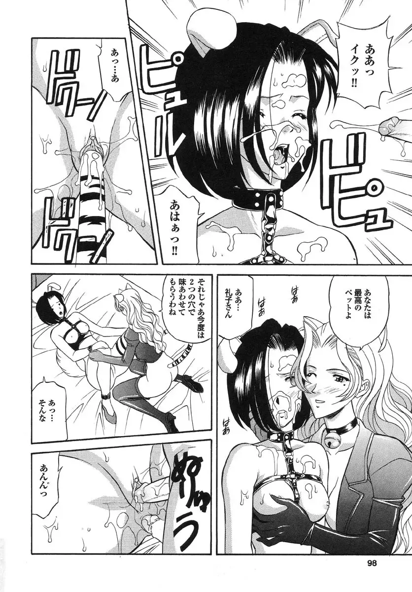 Real Sadism Fhentai - Page 99