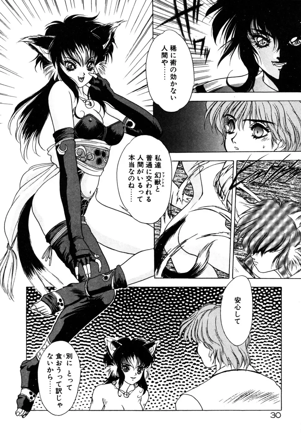 [Fuji Sangou] Phantom Garden Fhentai - Page 33