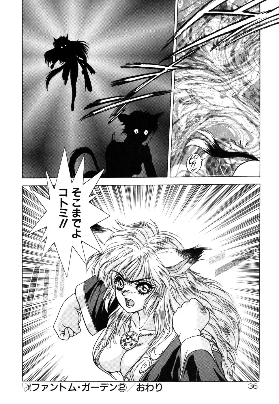 [Fuji Sangou] Phantom Garden Fhentai - Page 39