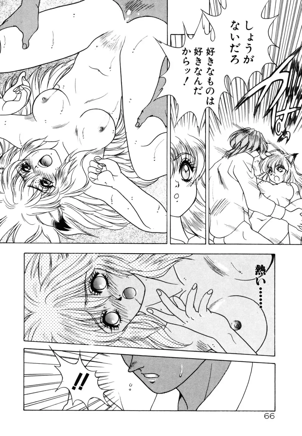 [Fuji Sangou] Phantom Garden Fhentai - Page 69