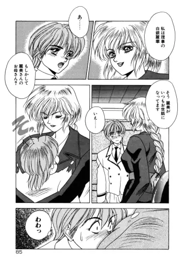 [Fuji Sangou] Phantom Garden Fhentai - Page 88