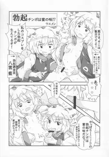 [Kamiya] Touhou Honmono x CJD Goudou 2 Fhentai - Page 30
