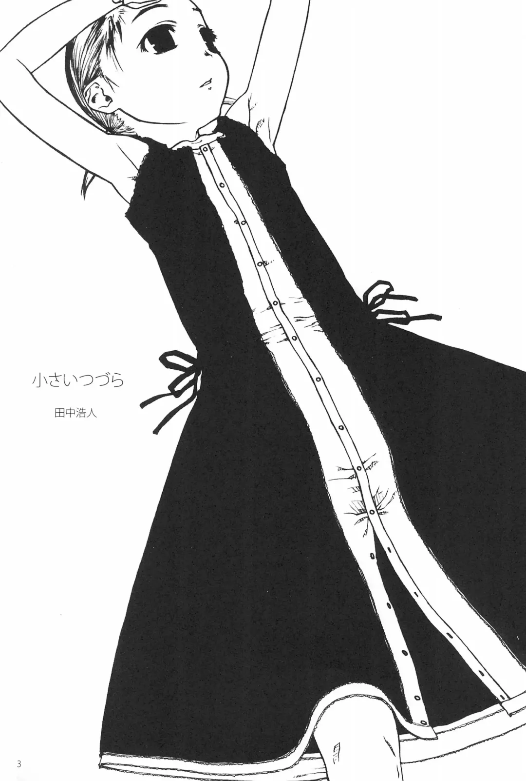 [Tanaka Hiroto] Chiisana Tsuzura Fhentai - Page 3