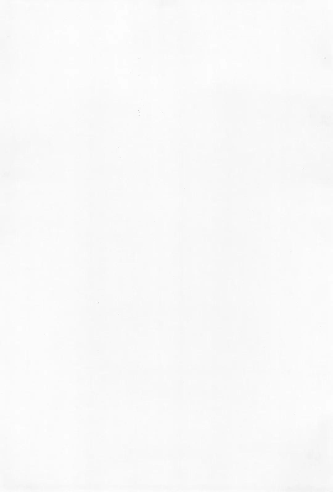 [Nagoyacochin] Mamma mia! Fhentai - Page 3