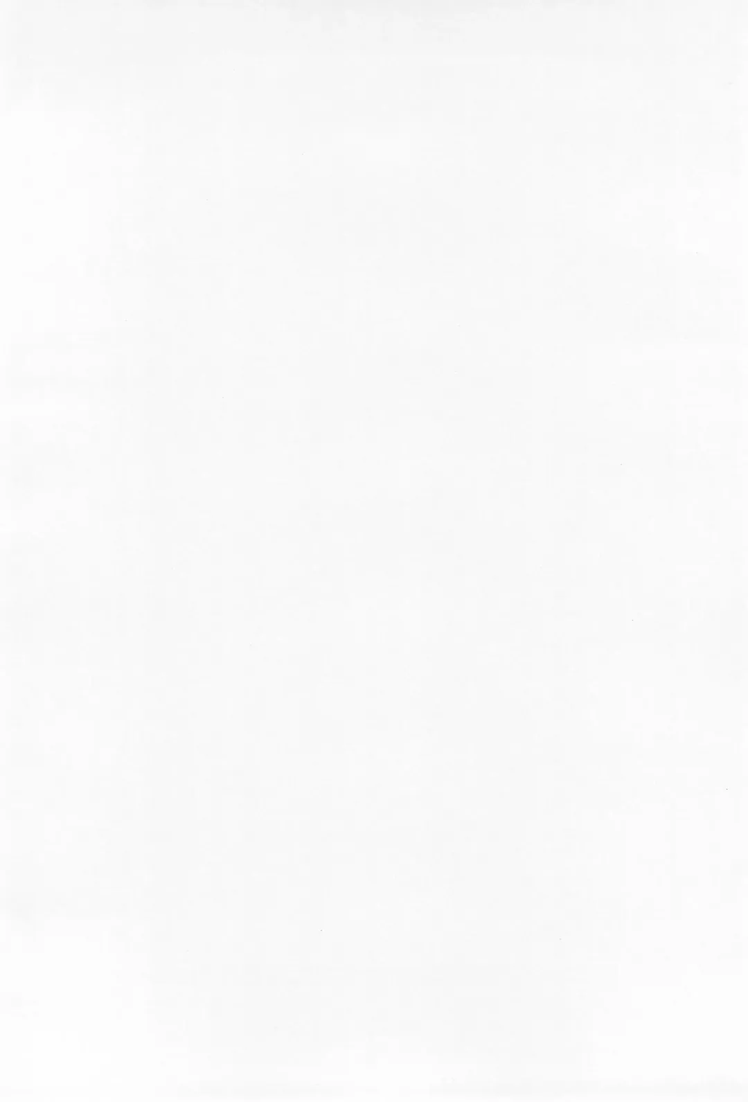 [Nagoyacochin] Mamma mia! Fhentai - Page 4