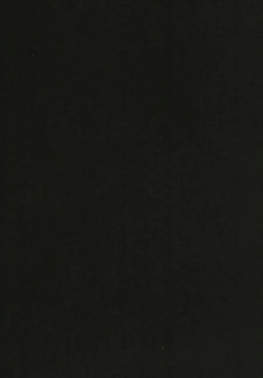 [Rabbi] Haitoku no Hakarigoto Fhentai - Page 4