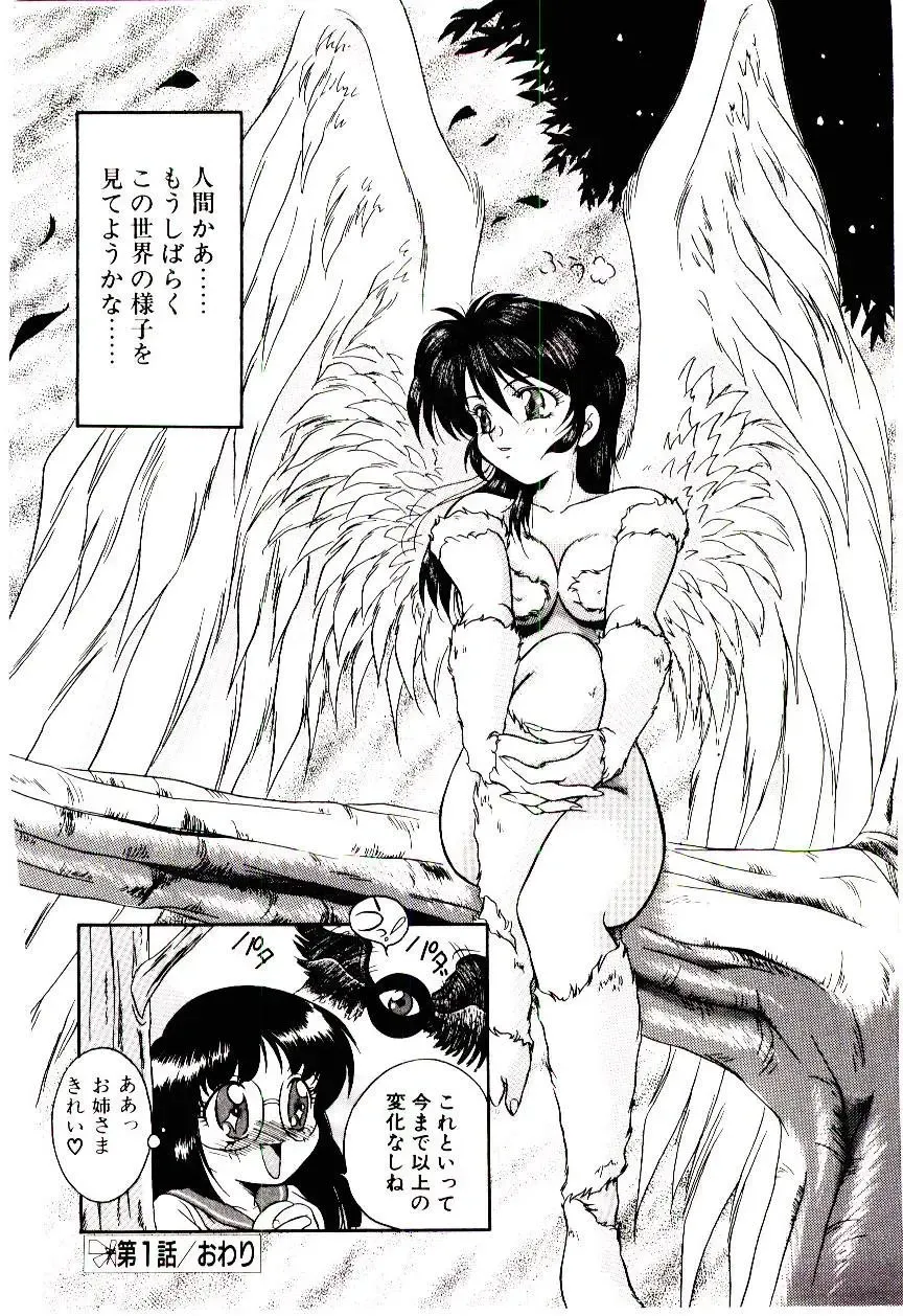 [Kirikaze] Meian no Tenshitachi Fhentai - Page 23