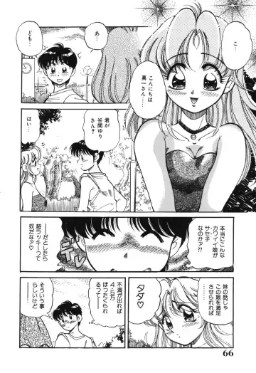 [Wolf Tarou] Bishojo Sange Fhentai - Page 66