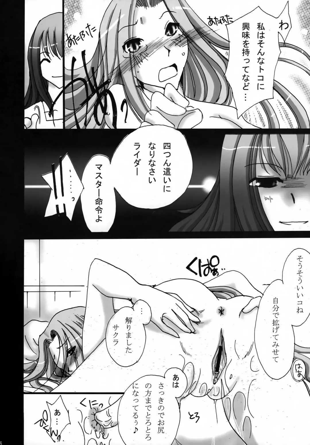 [Zan] BAYLEYS Fhentai - Page 15