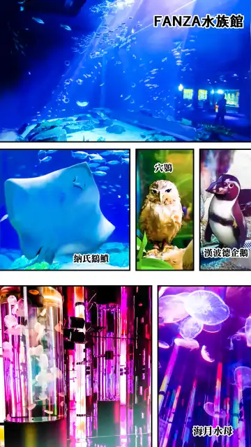 [Raidon] Panpan Travelers Okinawa Shuudan Rape Zumi Harem Hitoritabi Hen | 吃飯兼炒飯TRAVELERS 沖繩集團強姦 ~後宮單人旅行篇~ Fhentai - Page 83