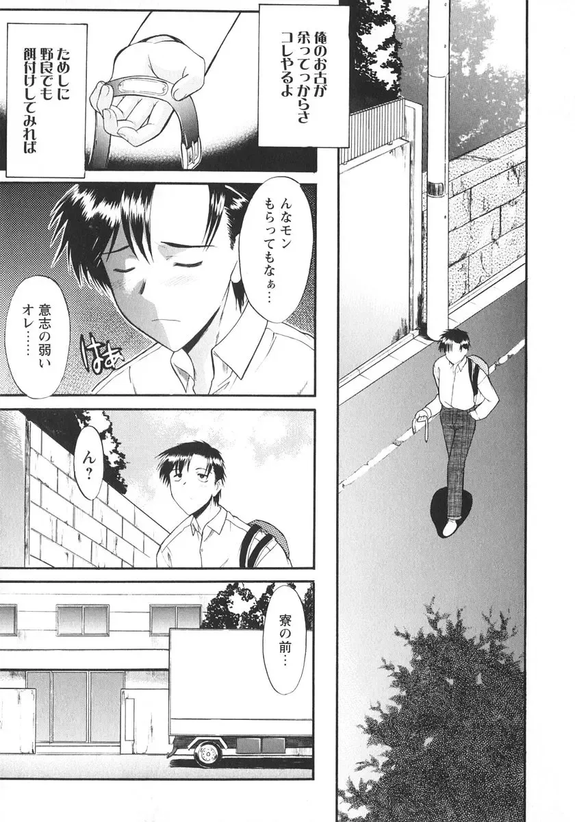 [Murasaki Syu] Ane Inu 1 Fhentai - Page 14