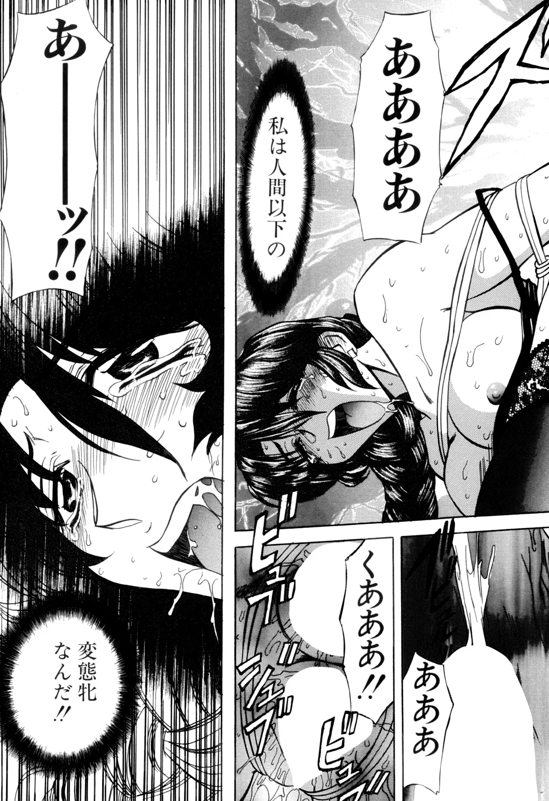 [Maro] Kankin Mesu Dorei Fhentai - Page 33