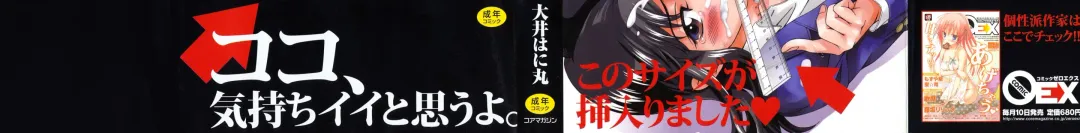 [Ooi Hanimaru] Experi Fhentai - Page 2