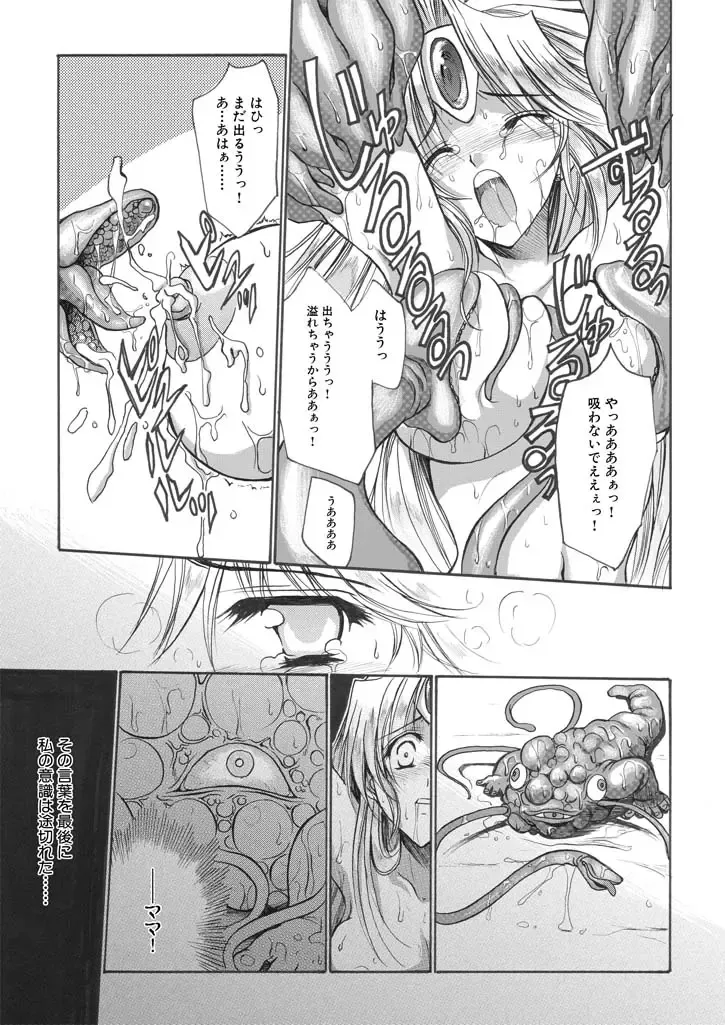 [Tamiya Akito] 聖王妃 エルレイン（田宮秋人）   Princess St Fhentai - Page 20
