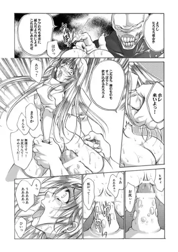 [Tamiya Akito] 聖王妃 エルレイン（田宮秋人）   Princess St Fhentai - Page 14