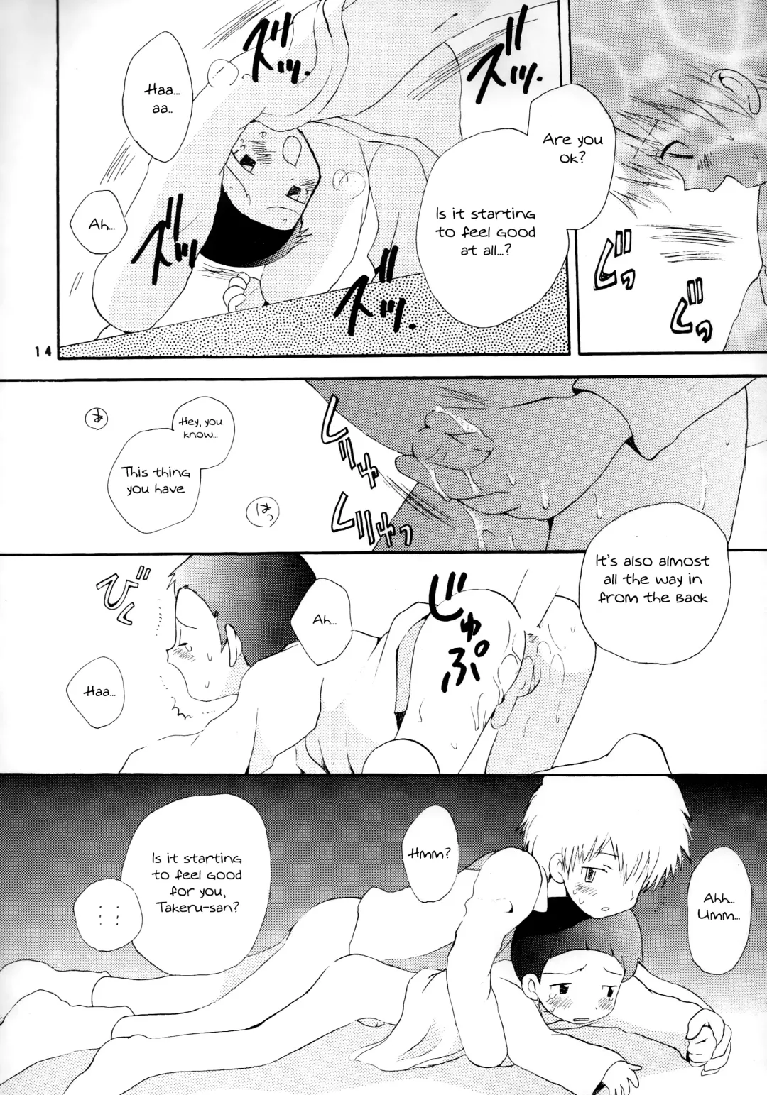 [Hoshiai Hilo] Seijitsu Na Hon Fhentai - Page 13