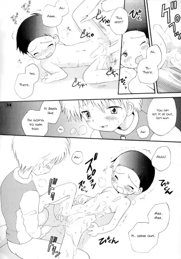 [Hoshiai Hilo] Seijitsu Na Hon Fhentai - Page 17